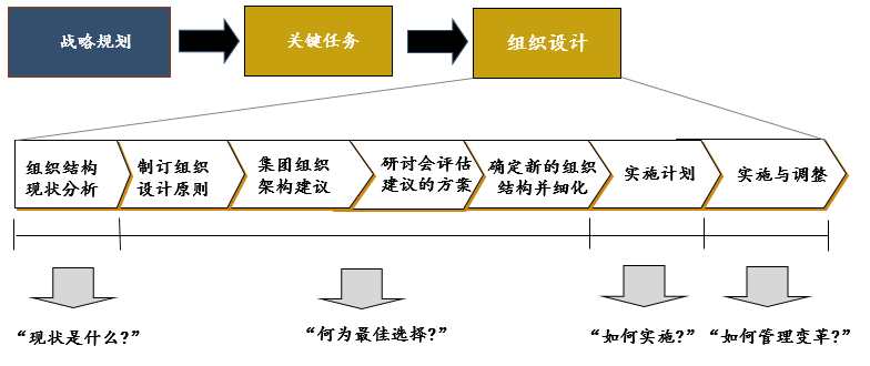 BLM模型中的正式组织