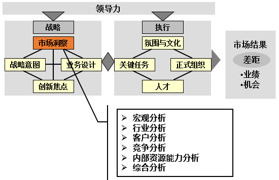 BLM模型中的市场洞察